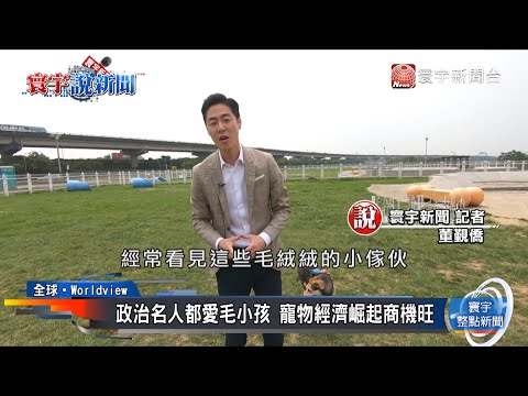 政治名人都愛毛小孩 寵物經濟崛起商機旺｜寰宇新聞20210416