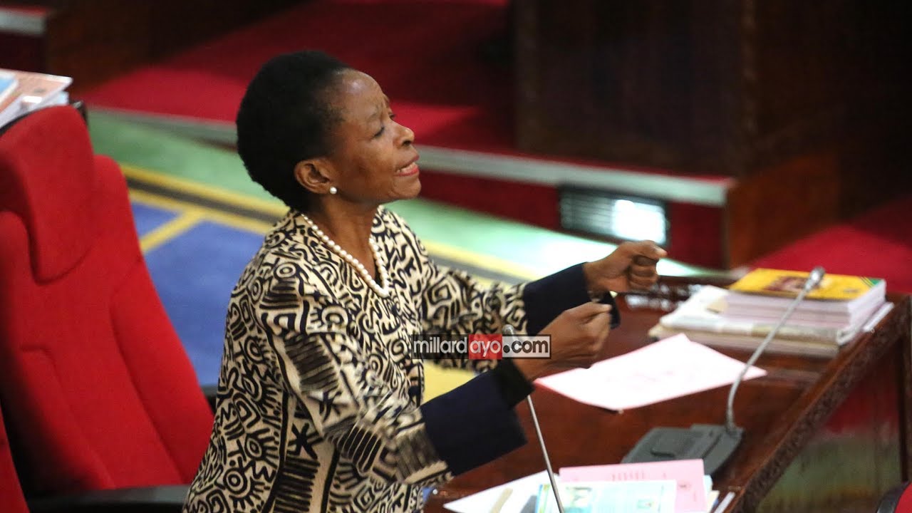 Nyerere, Mwinyi na JPM kwenye dakika 10 za Prof. Tibaijuka Bungeni