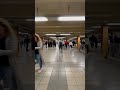 on the way to the concert