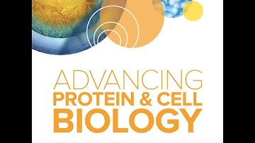 Multidimensional High-Throughput Imaging with ImageXpress Micro Confocal High-Content Imaging System