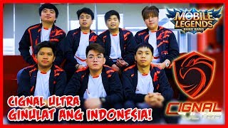 Indonesia was Surprised by Estes & Belerick Pick of Cignal Ultra | Team Flash vs Cignal Ultra
