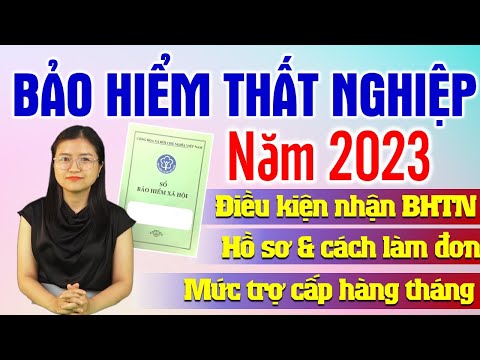 Video: Báo cáo kế toán - công cụ quản lý doanh nghiệp