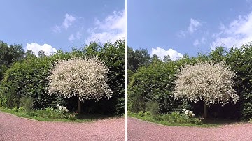 Xiaomi yi Focus Fix Vs No Fix