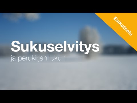 Video: Mikä on esikatseluruutu?