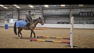 STC Equine Sports Massage Therapist - Bell and rein back