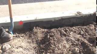 Century Root Barrier Breakthrough: Solving the “HUGE Root Barrier Issue”