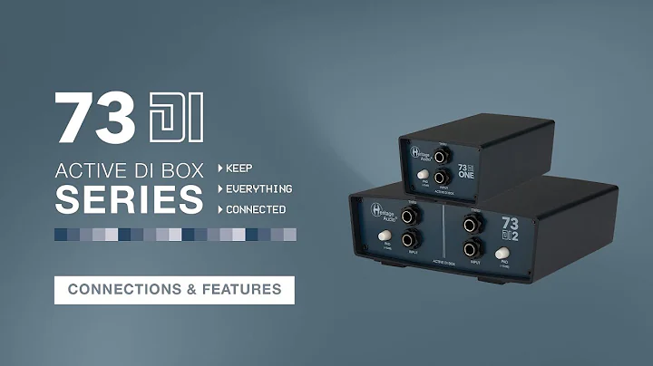 Heritage Audio - Connections & Features - The 73 DI Series