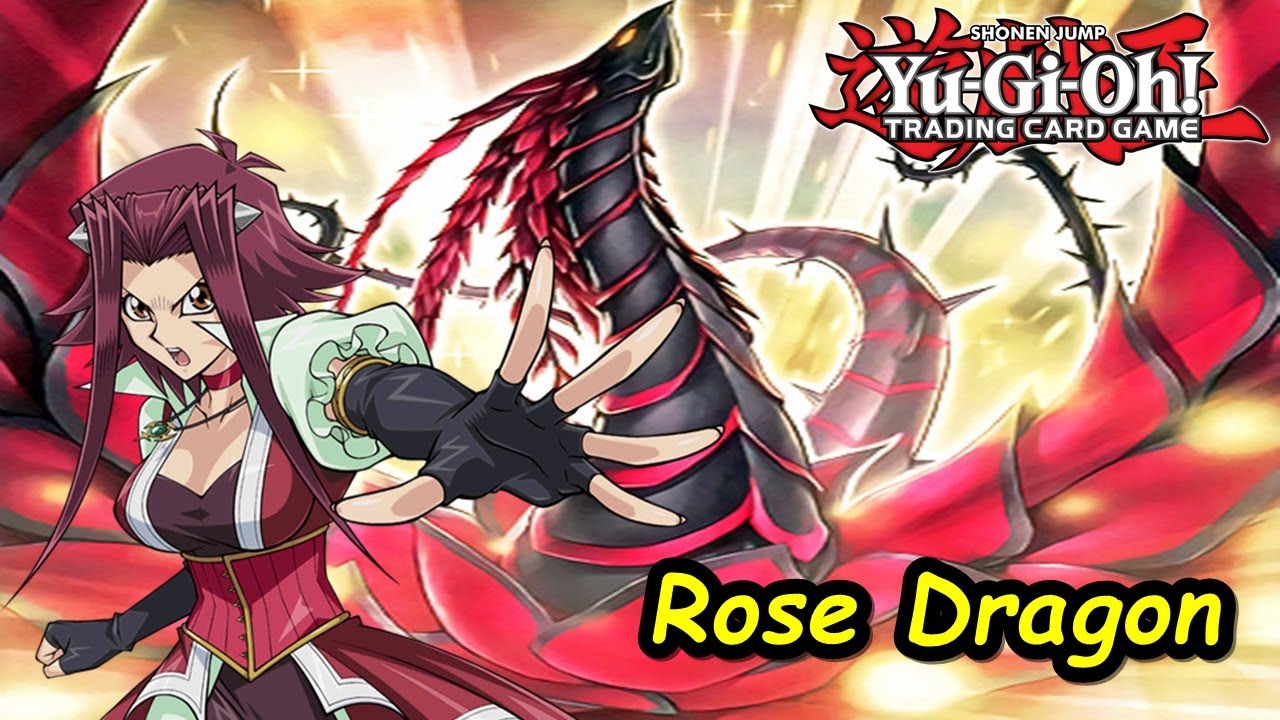 Yu-Gi-Oh! Rose Dragon 2.0 Combos (ft. Rescue Ferret) - Black Rose Dragon [EDOPRO/YGOPRO]