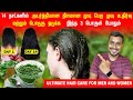 14 day Hair Miracle | With Proven Real Result | Curry Leaves | இனி பொடுகு முடிகொட்டுதல் தொல்லை இல்லை