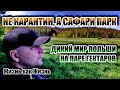 Польша - гостеприимный уголок | Жизнь на карантине | Природа Польши