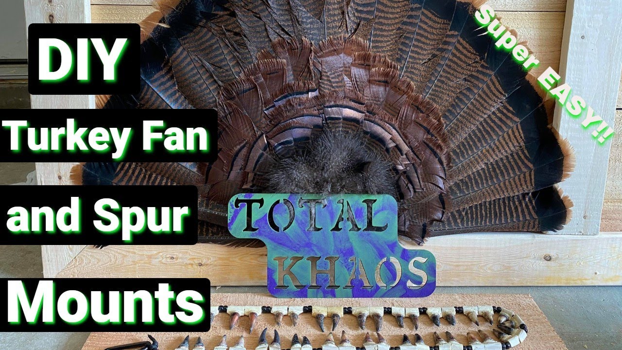 DIY...Turkey Fan Mount and Spurs