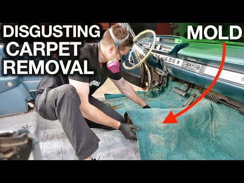 Disgusting Dodge Restoration Detail and Mold Removal. Win this Car for $101.90