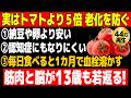 【44万再生】60歳以上が絶対に食べるべき脳の老化予防に最適な最強食品TOP10※世界中の最新の研究論文をもとに解説