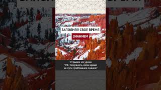 Заполняй свое время знанием || Динар абу Идрис #ислам #факты #истина #вера #коран #аллах #пост