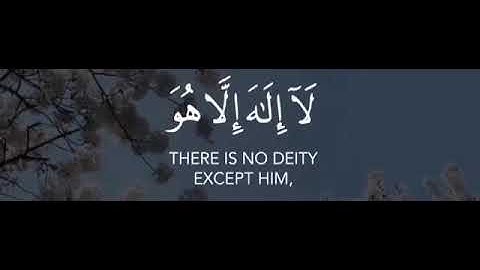 القارئ عبد الرحمن مسعد | واذكر اسم ربك وتبتل إليه تبتيلًا 🌿