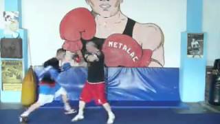 Skola Boksa 3. - Miodrag Milic I Milos Baltic.