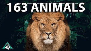 Learn 163 Animals in English for Beginner ESL Students in High Definition - English Vocabulary
