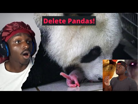Should We Let Nature Finally Delete Pandas? - Casual Geographic ¦ Unorthodox Reactions