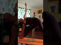 Utthita Trikonasana I The Triangle Poses #ashtangapractice