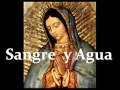 1 HORA CANCIONES CATOLICAS a MARIA la VIRGEN- Sangre y Agua- MUSICA CANTOS