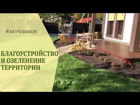 Благоустройство и озеленение участка