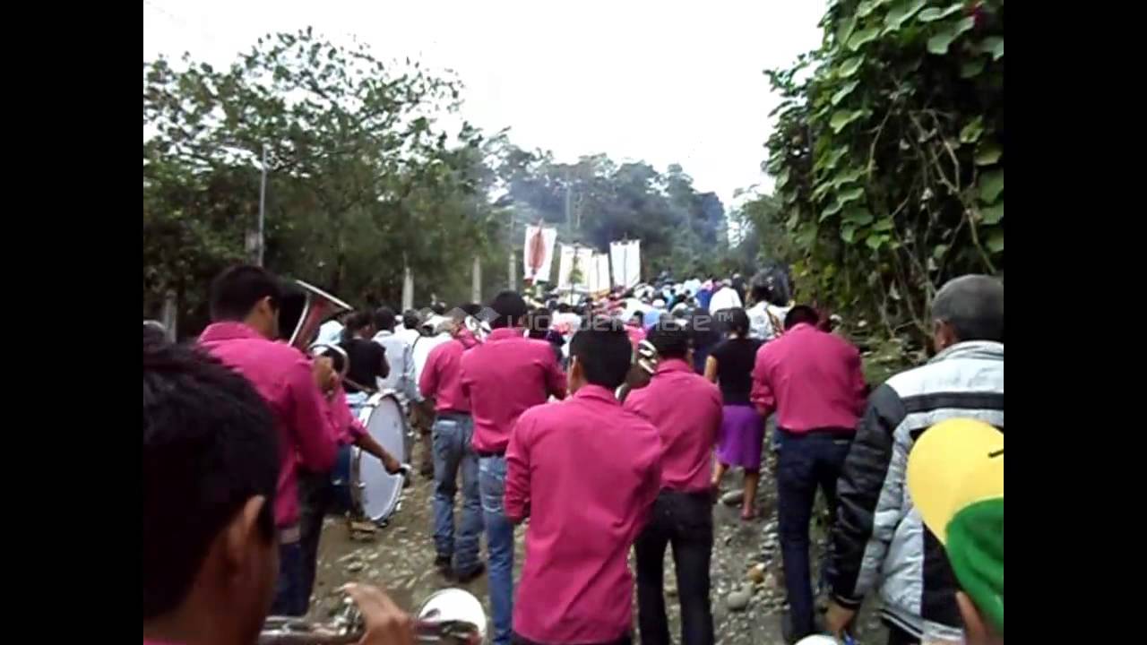 Huazalinguillo 2014 YouTube