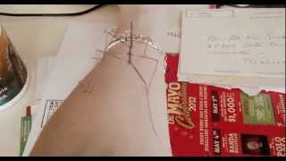 Walking Stick Bug Crawling Up My Arm