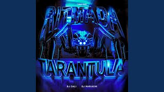 RITMADA TARANTULA