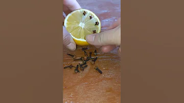 بنص حامضه رح نقول وداعا للحشرات 