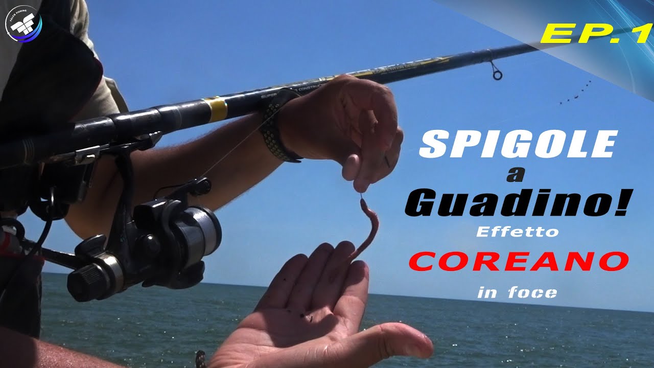 Esche Artificiali Koreane Per Pesca Surfcasting - Mare, Orata, Spigola