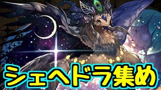 【生放送】シェヘドラ集め！！裏異形周回！！【パズドラ】