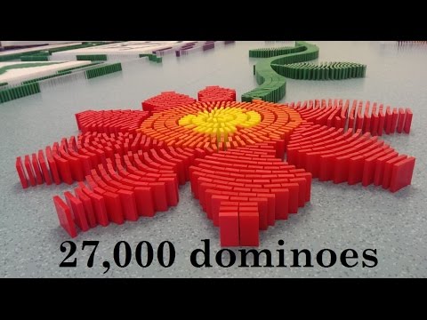 Domino Event Schmetterlingshaus 27 000 Dominoes Meeting With Dominofan0803 Youtube - domino roblox youtube event