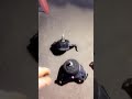 كراسي مكينة سيكويا وقريبا طريقة الفحص كراسي مكينة سيكويا وقريبا طريقة الفحص