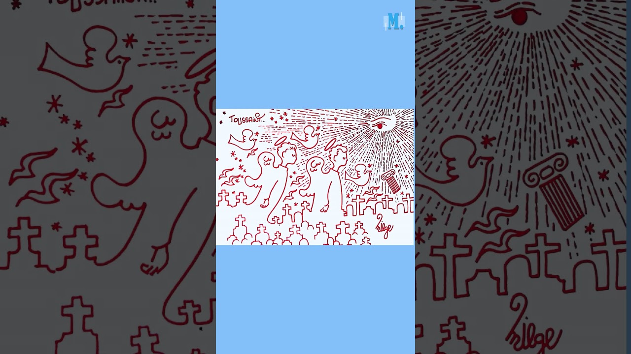 La semaine vue par Miège (04.11.2023) #shortsvideo #shortsvideoyoutube #shortsfeed