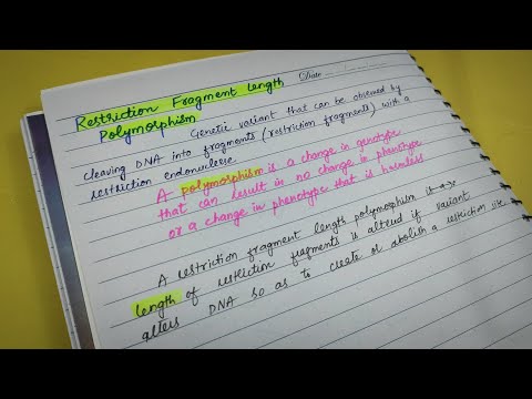 Restriction fragment length polymorphism/Genetics 🧬/Lippincott Biochemistry