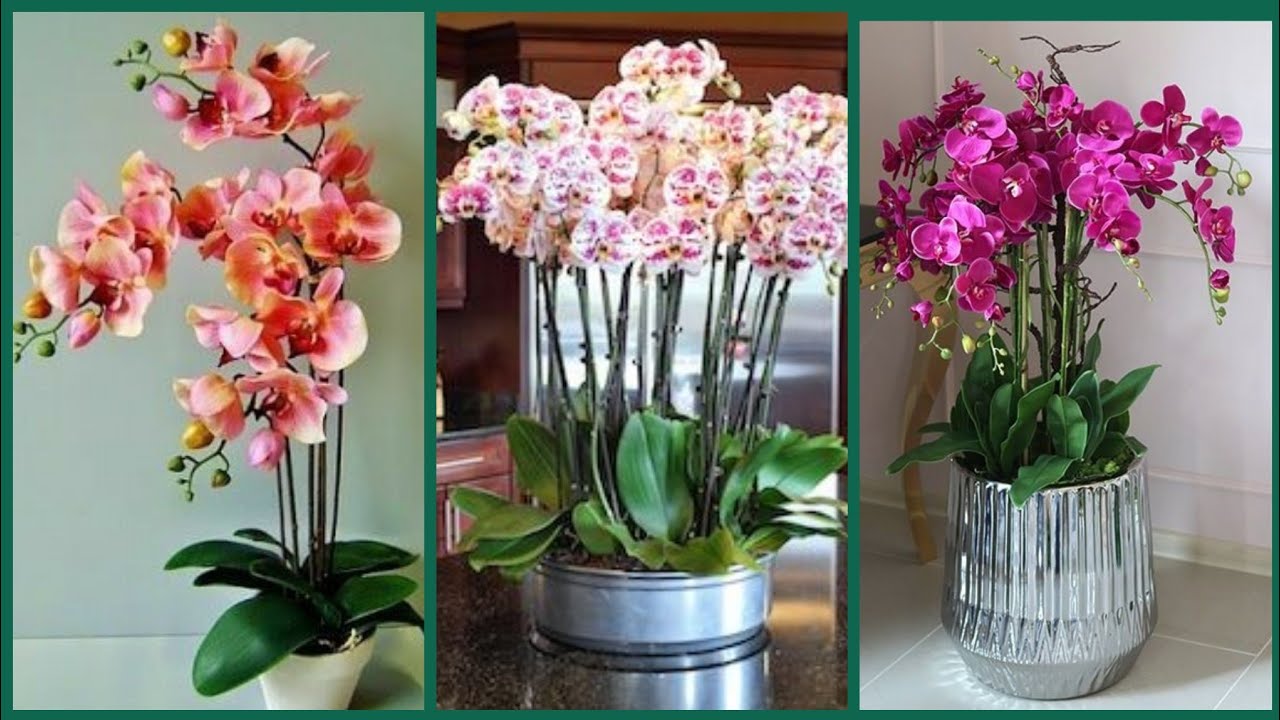 New and latest ideas and collection of fresh flowers arrangement - YouTube