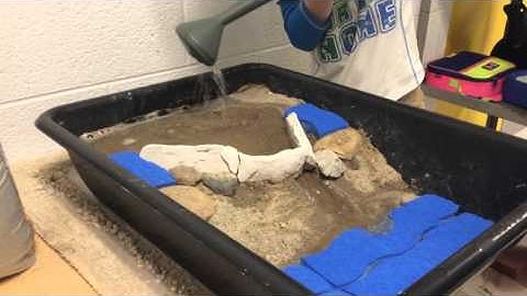 Video 1 The Absorber