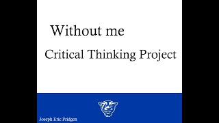 Critical Thinking Project - 2025 Summer Semester