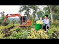 Harvest corn, clean the garden, rent an excavator to dig land to build a new house