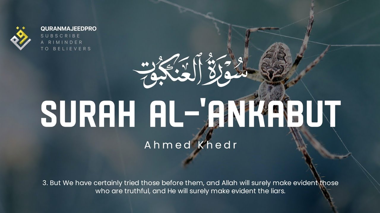 ❤😍 Ahmed Khedr (احمد خضر) | Sura Al-'Ankabut (سوره العنكبوت) 😍❤