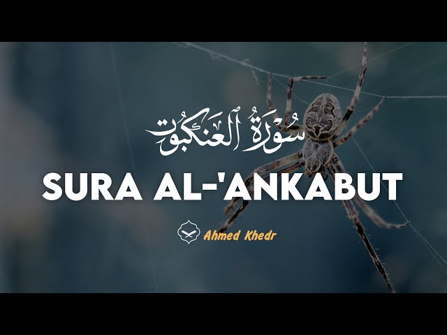 ❤😍 Ahmed Khedr (احمد خضر) | Sura Al-'Ankabut (سوره العنكبوت) 😍❤ class=