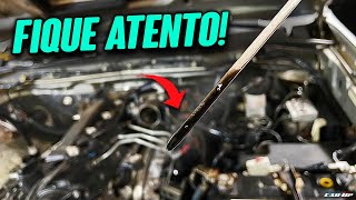 PAY ATTENTION not only to the LEVEL, but also to the COLOR of the Lubricating Oil!
