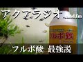 【アクアリウムラジオ】最強の土壌改善腐植酸「フルボ酸」を調べたらすごかった　キレート化とか　【stand fm】