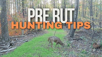 Pre-Rut Whitetail Hunting Playbook | Buck Movement, Scrapes & Stand Setup Strategies