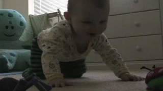 Lilly's Great Crawl Experiment