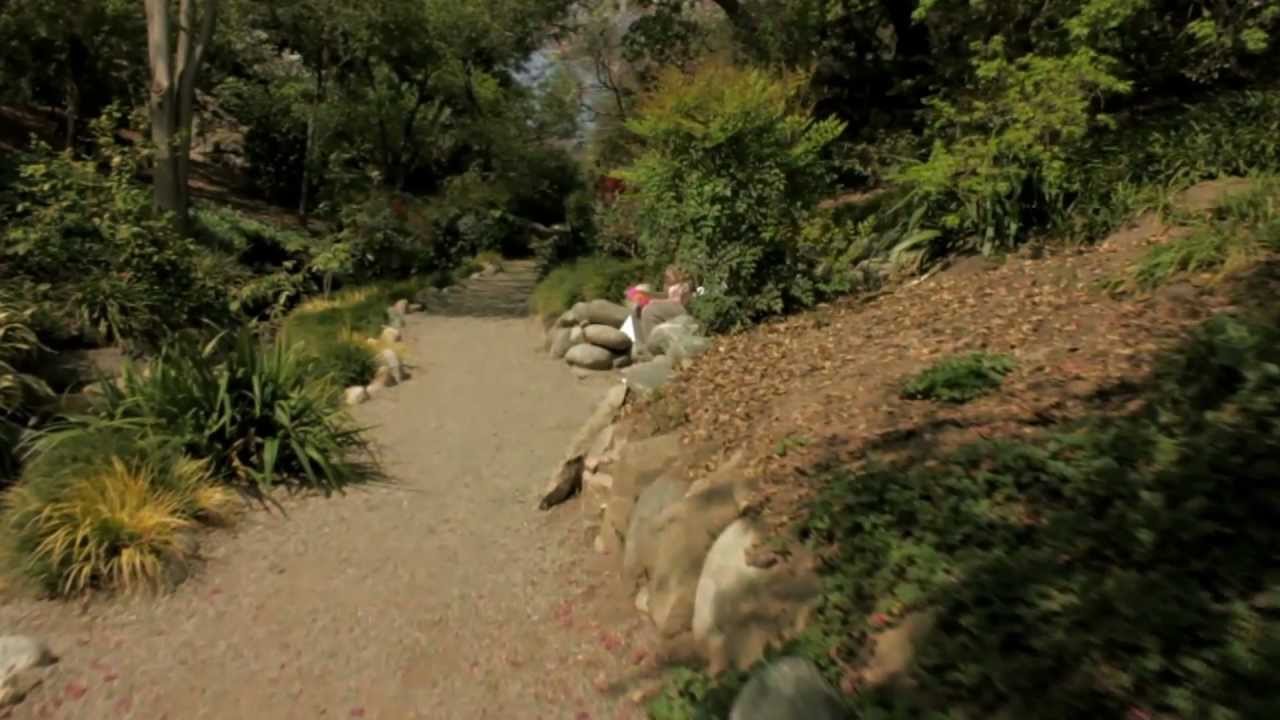 Hiking with  mz steadycam