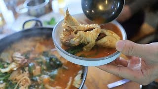 The Gochujang Catfish Spicy Stew That Makes You a Regular After One Bite @Live Today Episode 2252...