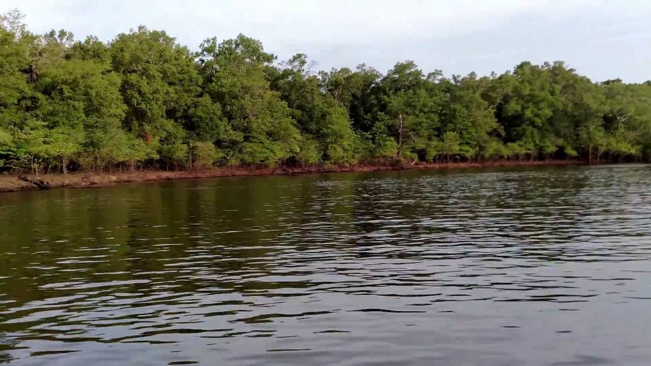 Cruising Bayou D'Arbonne 2 - West Monroe, LA 4K HD