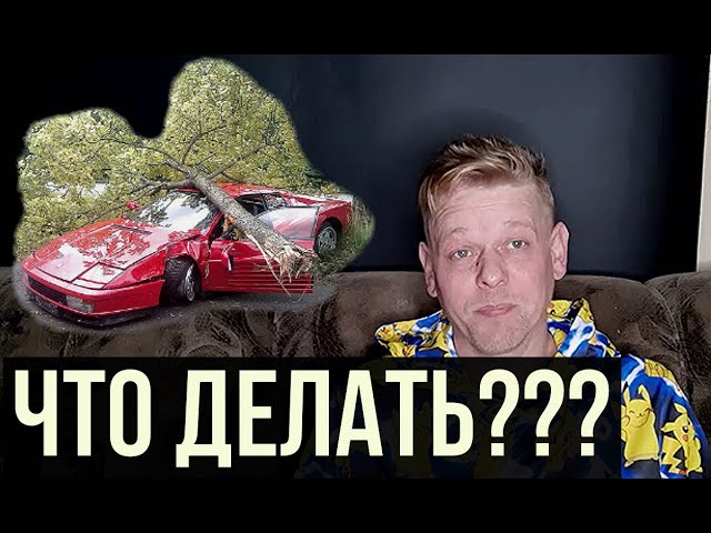 Что делать, если на ваш автомобиль упало дерево?!