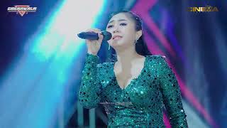 BUKAN TAK MAMPU-FIBRI VIOLA | PEMUDA MLOWO BERSATU | DMS AUDIO